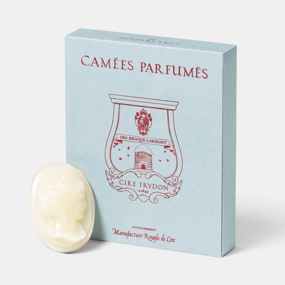 Shop Rescue Spa Madurai scented wax cameo with jasmine fragrance next to its light blue branded presentation box