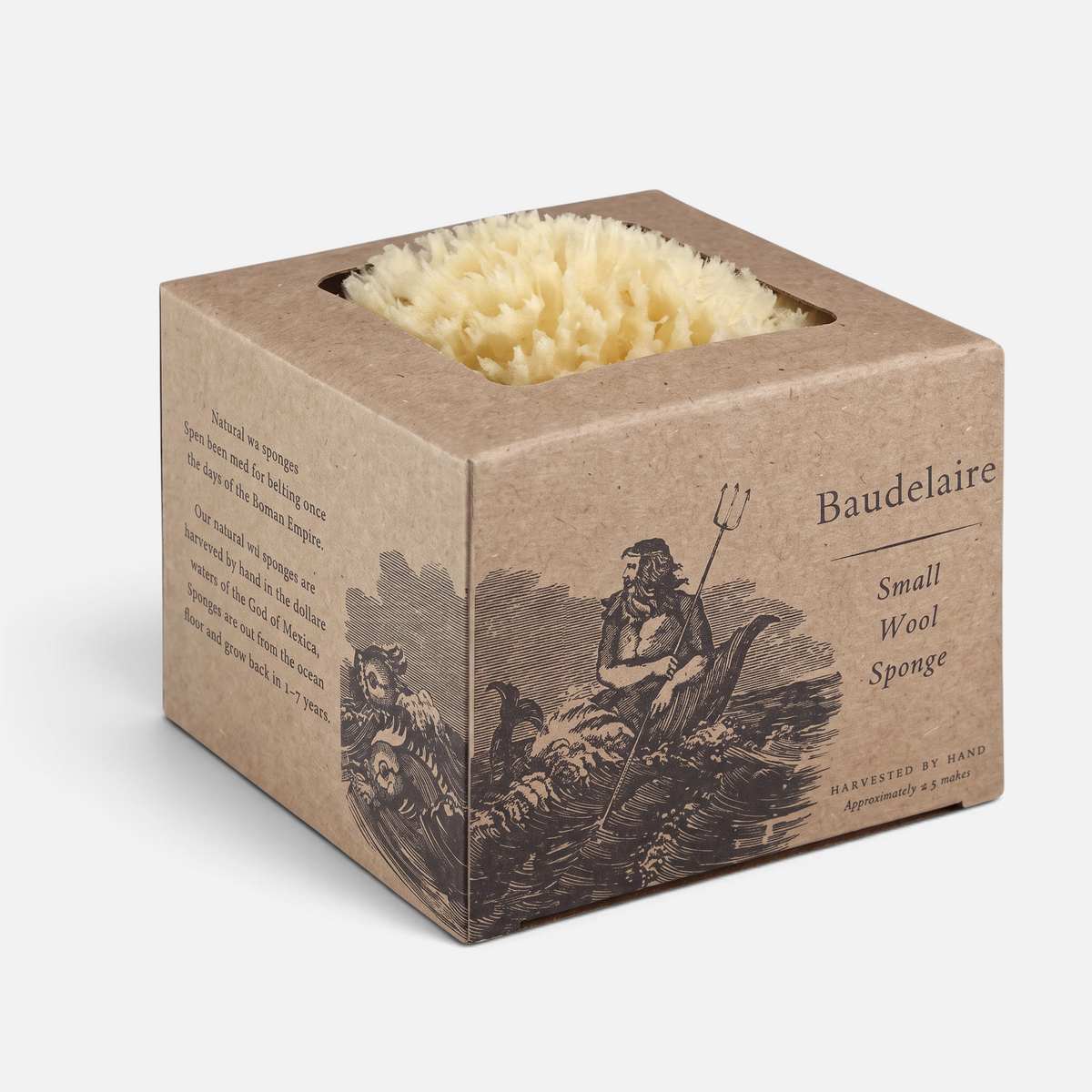 Shop Rescue Spa small natural wool sea sponge in a decorative cardboard box for luxurious bathing