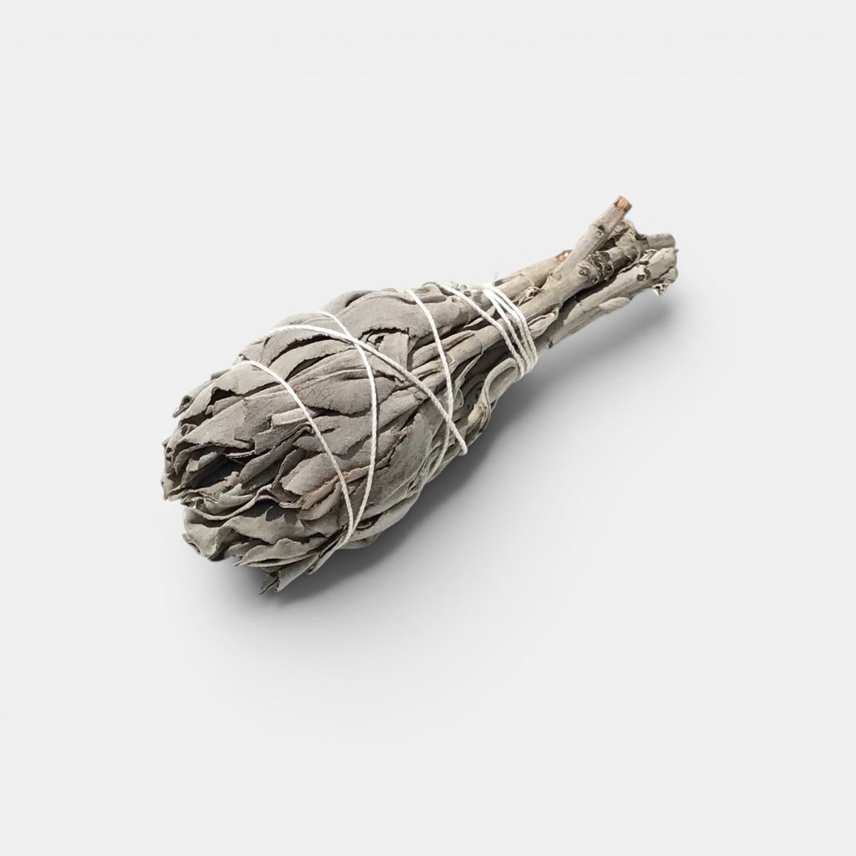 Wild White Sage Small