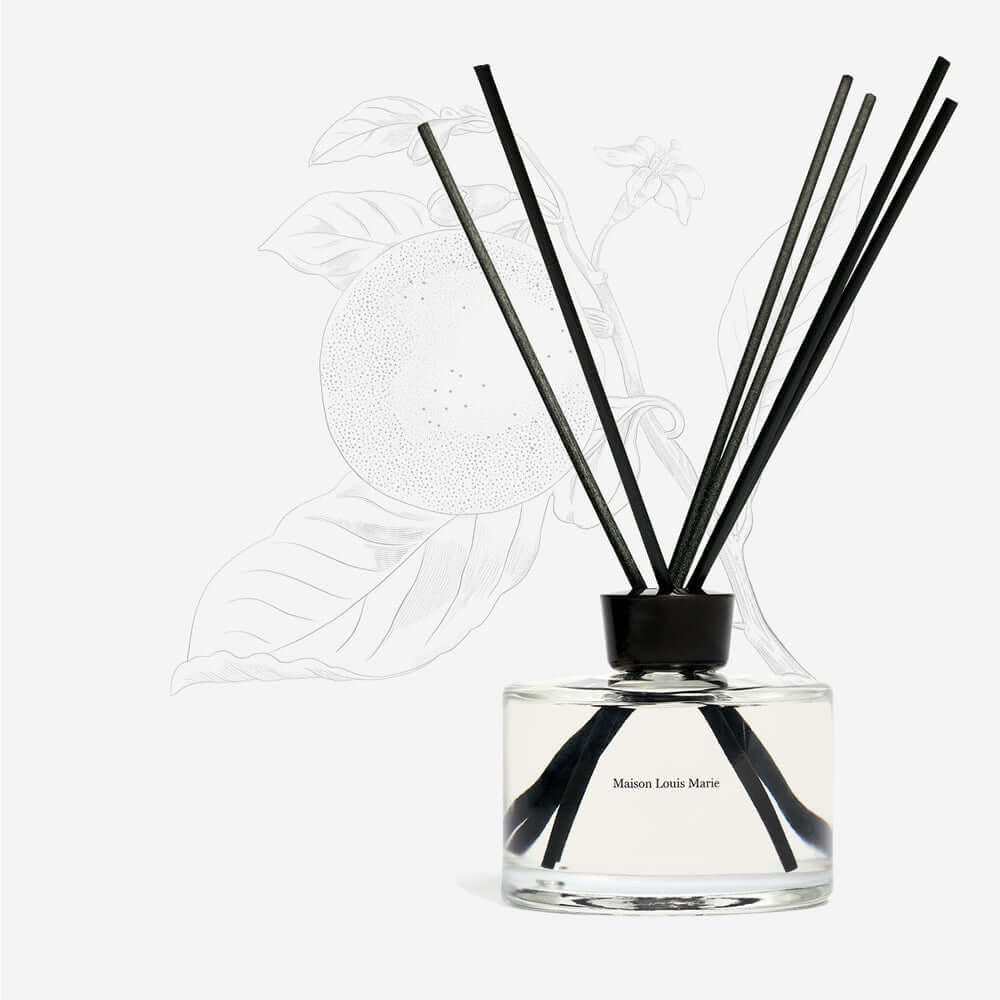 No.09 Vallee de Farney Home Diffuser