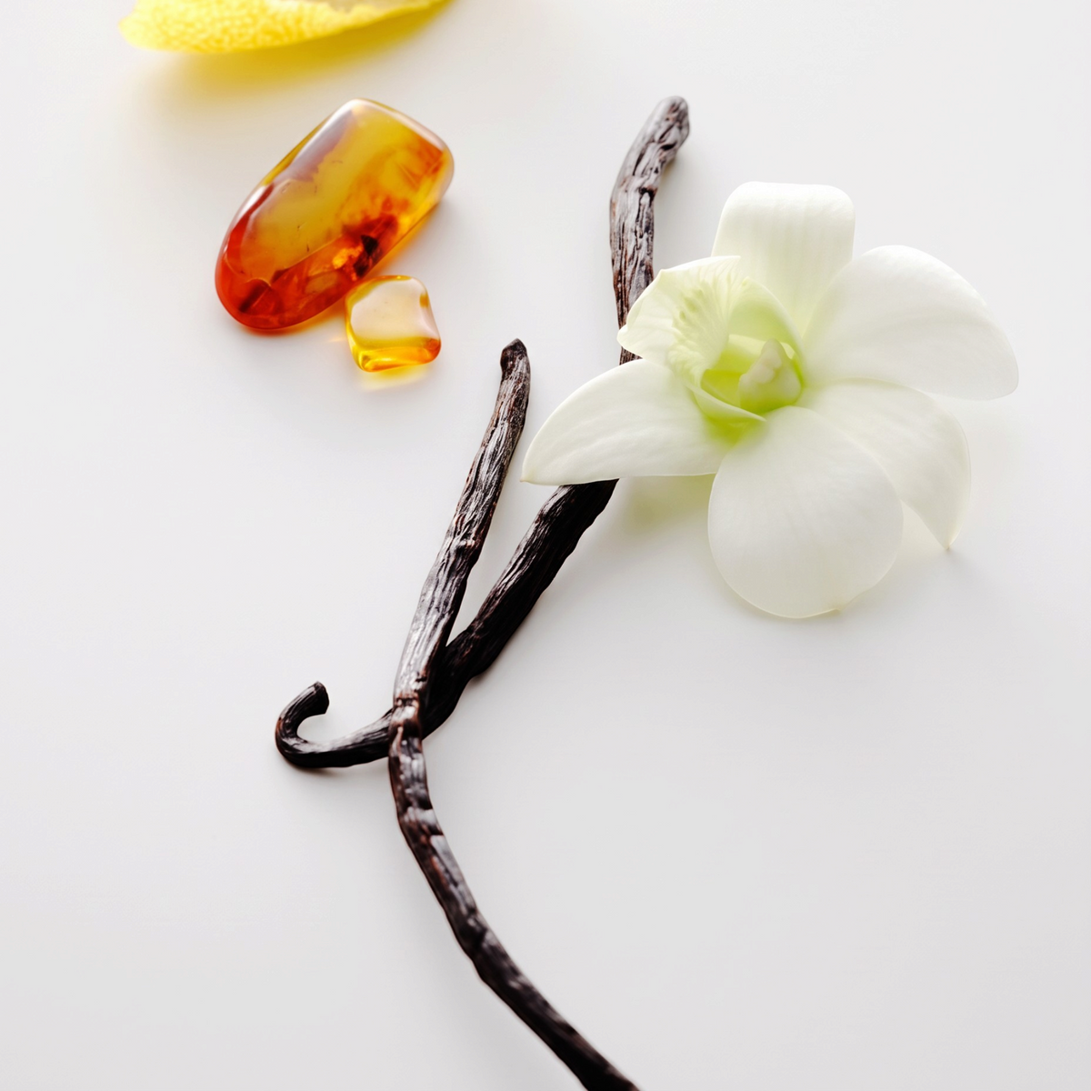Vanilla bean pods and a white vanilla orchid flower arranged on a clean white surface with amber-colored stones in the background.