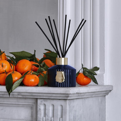 Le Diffuseur Reggio