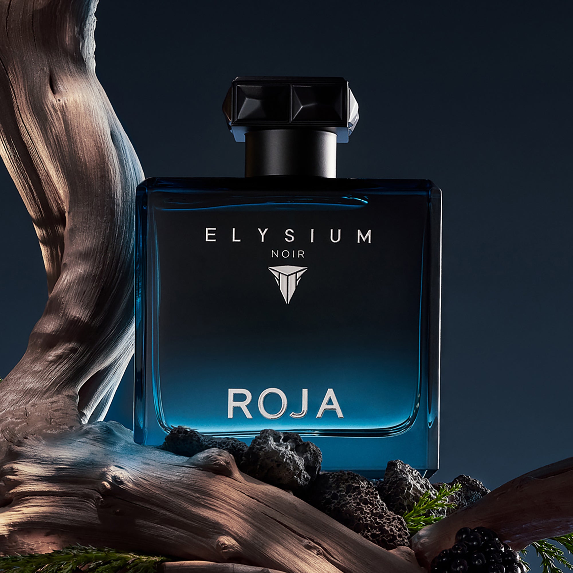 Elysium Noir