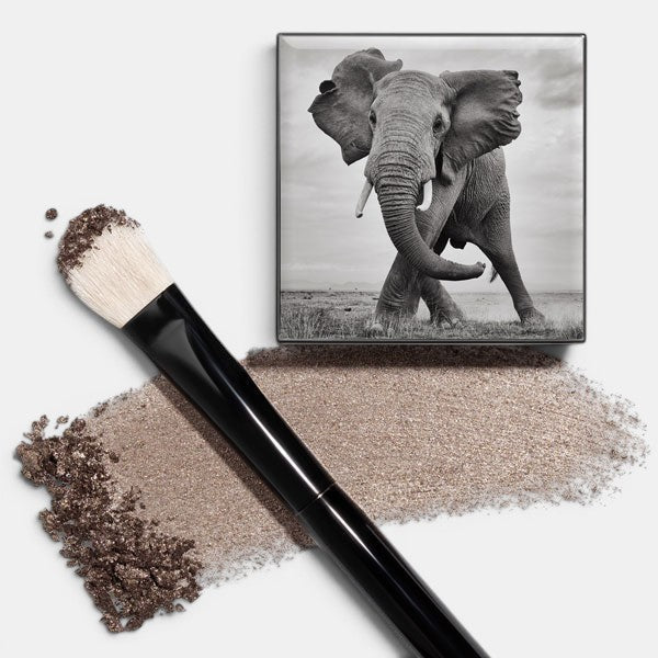 Shade and Sweep Eye Brush