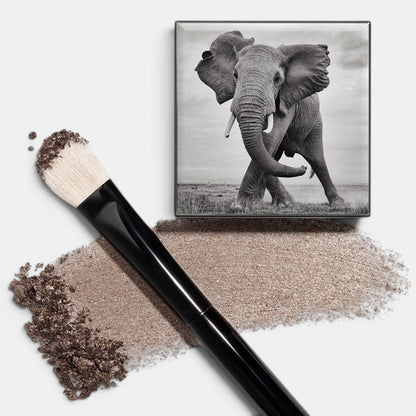 Shade and Sweep Eye Brush