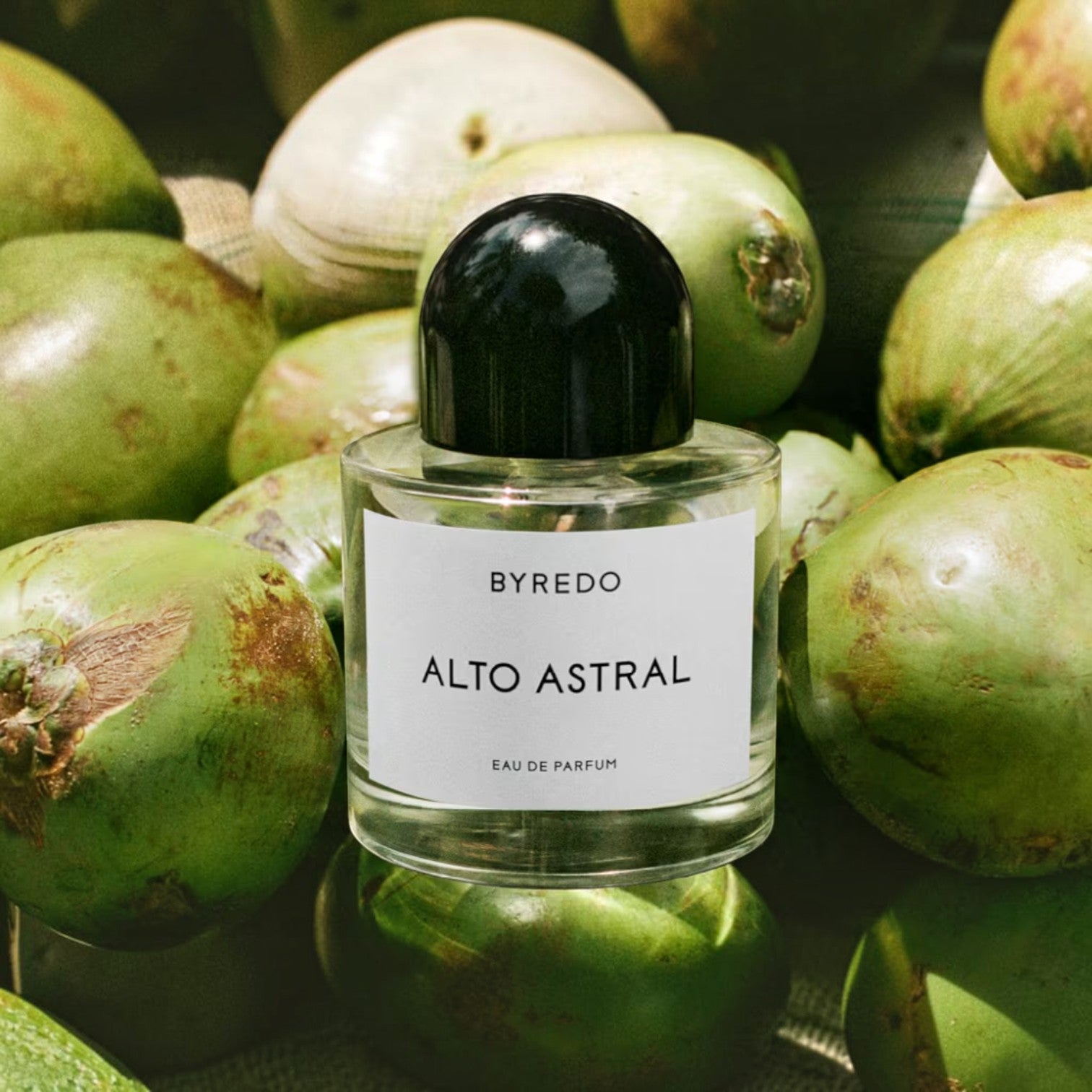 Shop Rescue Spa Alto Astral Eau de Parfum bottle with a black cap, surrounded by green coconuts. Notes of coconut water, sandalwood, and amber.