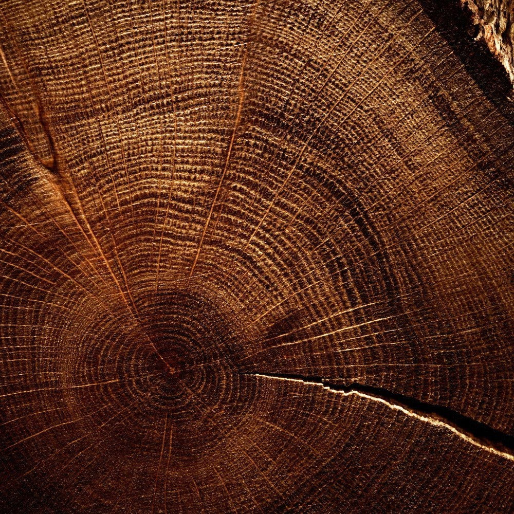 Close-up of dark brown wood grain texture representing the dry woods notes in Shop Rescue Spa Aventus fragrance