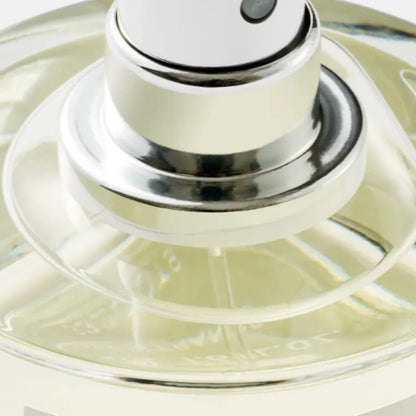 Shop Rescue Spa Bibliotheque Eau De Parfum, a clear glass bottle with silver accents and pale yellow liquid.