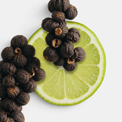 Shop Rescue Spa Castley Eau De Parfum featuring dark aromatic berries and a fresh sliced lime citrus garnish