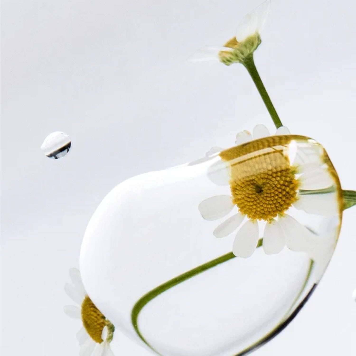 Shop Rescue Spa Danucera Cerabalm multi-purpose cleansing balm texture with chamomile flowers in a clear drop