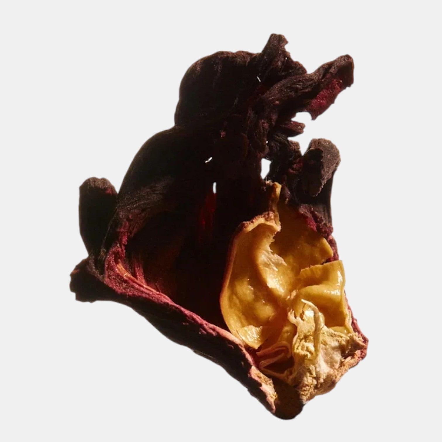 Shop Rescue Spa Danucera Cerabalm ingredient detail featuring a dried hibiscus flower and apricot kernel