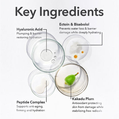 Shop Rescue Spa DermInfusions eye cream ingredient breakdown showing hyaluronic acid, ectoin, bisabolol, and kakadu plum.