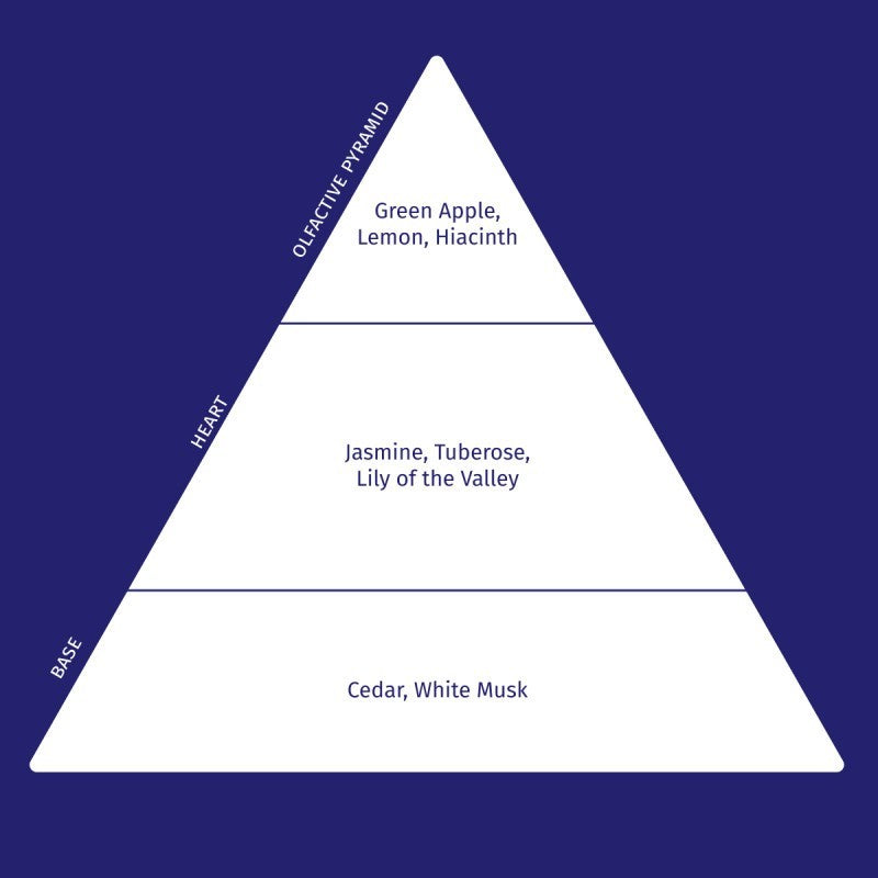 Shop Rescue Spa Extreme Caviar shampoo olfactive pyramid showing fragrance notes of apple, jasmine, and cedar.