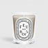 Shop Rescue Spa Diptyque Feu de Bois scented candle in a clear glass vessel with a signature oval label.