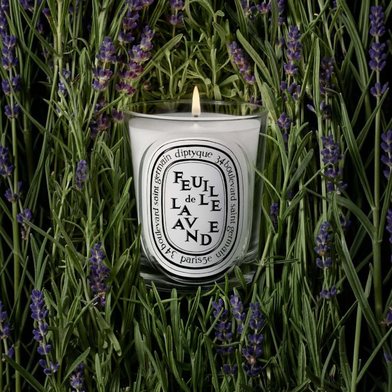 Shop Rescue Spa Feuille De Lavende scented candle in a glass vessel surrounded by fresh purple lavender sprigs