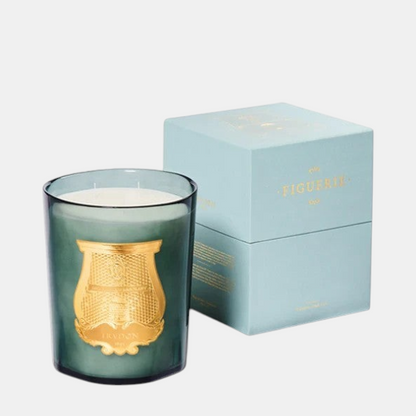Shop Rescue Spa Figuerie Collection candle in a dark green glass jar with gold emblem, next to a light blue box.