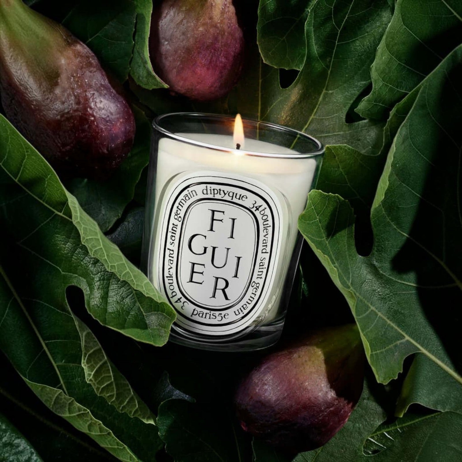 Shop Rescue Spa Diptyque Figuier candle in a glass vessel, lit and surrounded by fresh fig leaves and ripe purple figs.