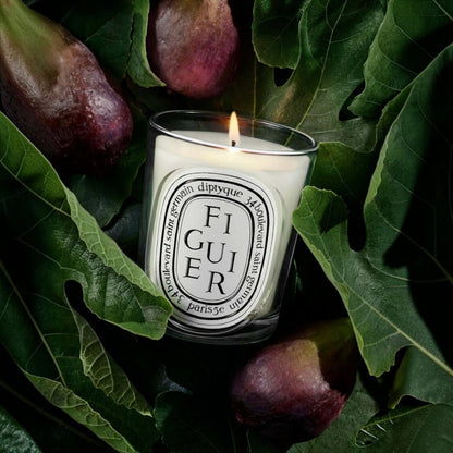 Shop Rescue Spa Diptyque Figuier candle in a glass vessel, lit and surrounded by fresh fig leaves and ripe purple figs.