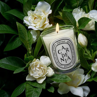 Shop Rescue Spa Gardenia scented candle in a glass vessel surrounded by fresh white gardenia flowers and green leaves.