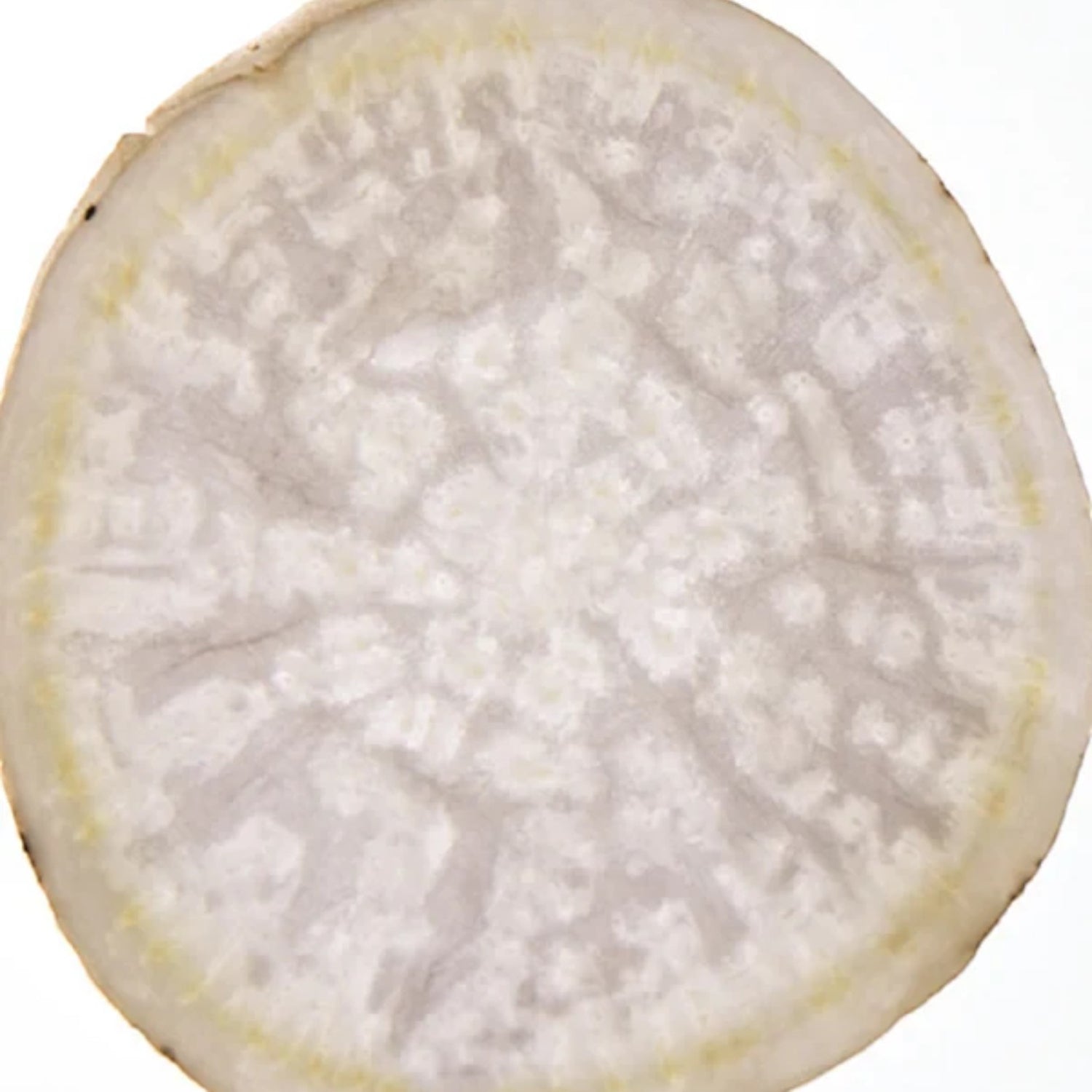 Close-up of a sliced sugar beet ingredient used in Shop Rescue Spa Mega Serum for deep skin hydration.