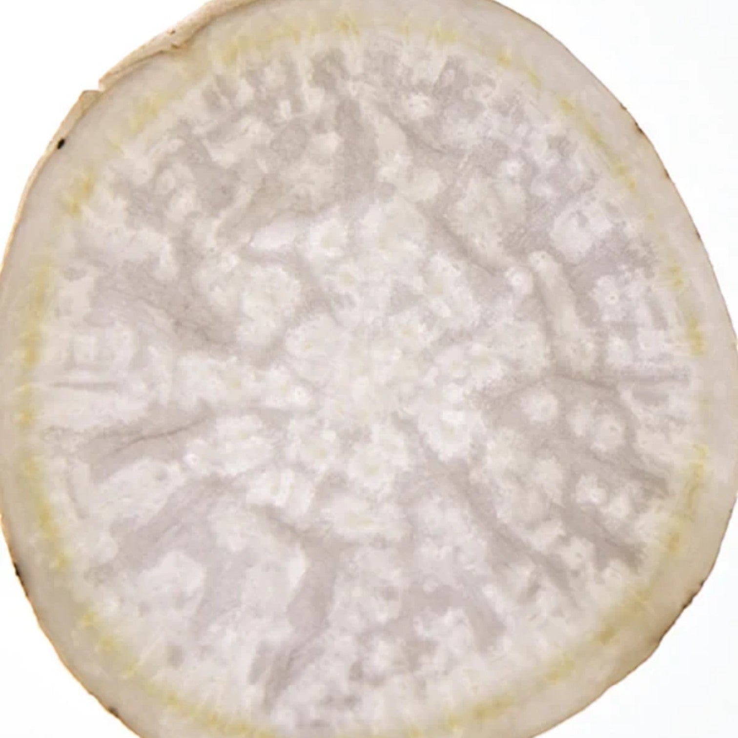 Close-up of a sliced sugar beet ingredient used in Shop Rescue Spa Mega Serum for deep skin hydration.