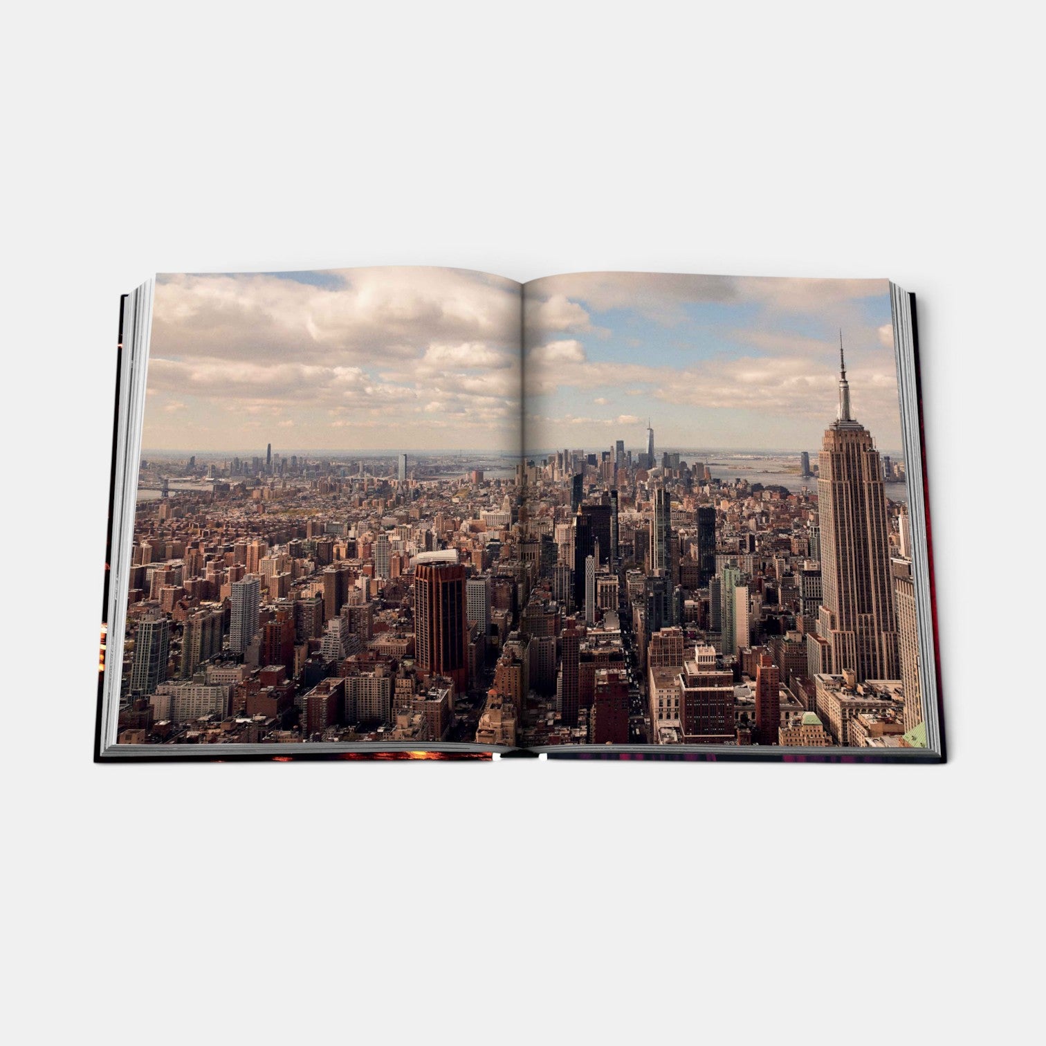 Shop Rescue Spa New York Chic coffee table book open to a panoramic aerial photograph of the New York City skyline.