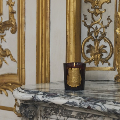 Shop Rescue Spa Solis Rex candle in a dark glass vessel with a gold emblem, burning on a marble fireplace mantel.