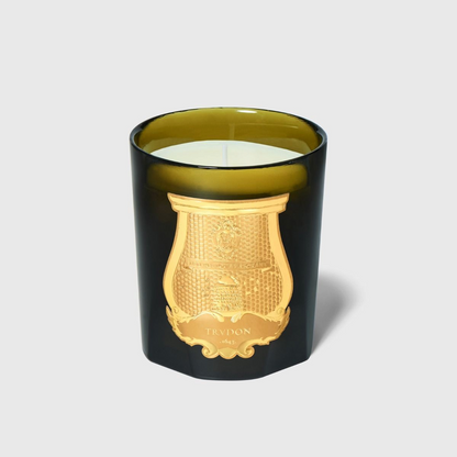 Shop Rescue Spa Solis Rex classic candle in a dark green glass vessel with an ornate gold embossed emblem