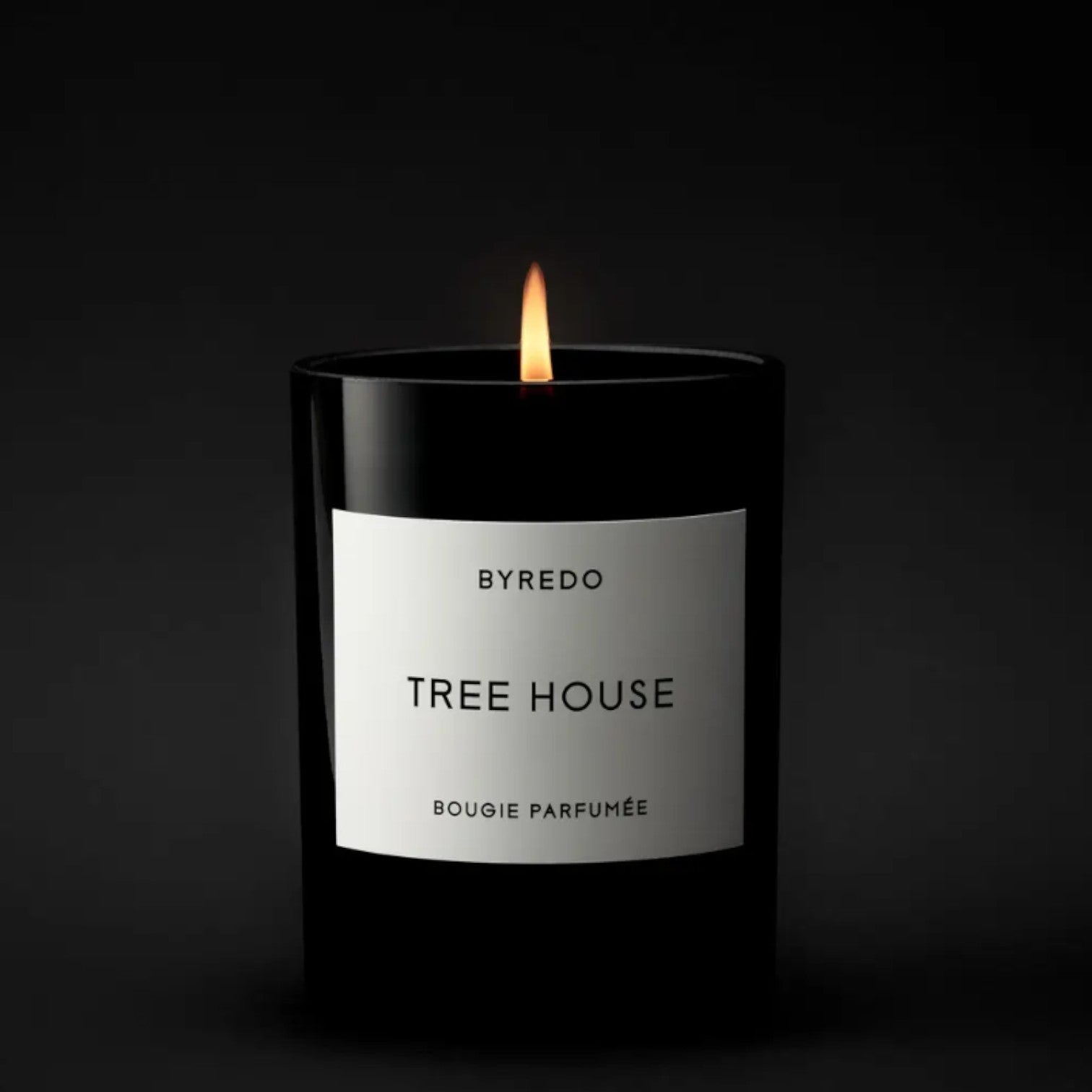 Shop Rescue Spa Tree House candle in a black glass vessel with a lit wick. Notes of cedar, bamboo, sandalwood, spice, myrrh, and leather.
