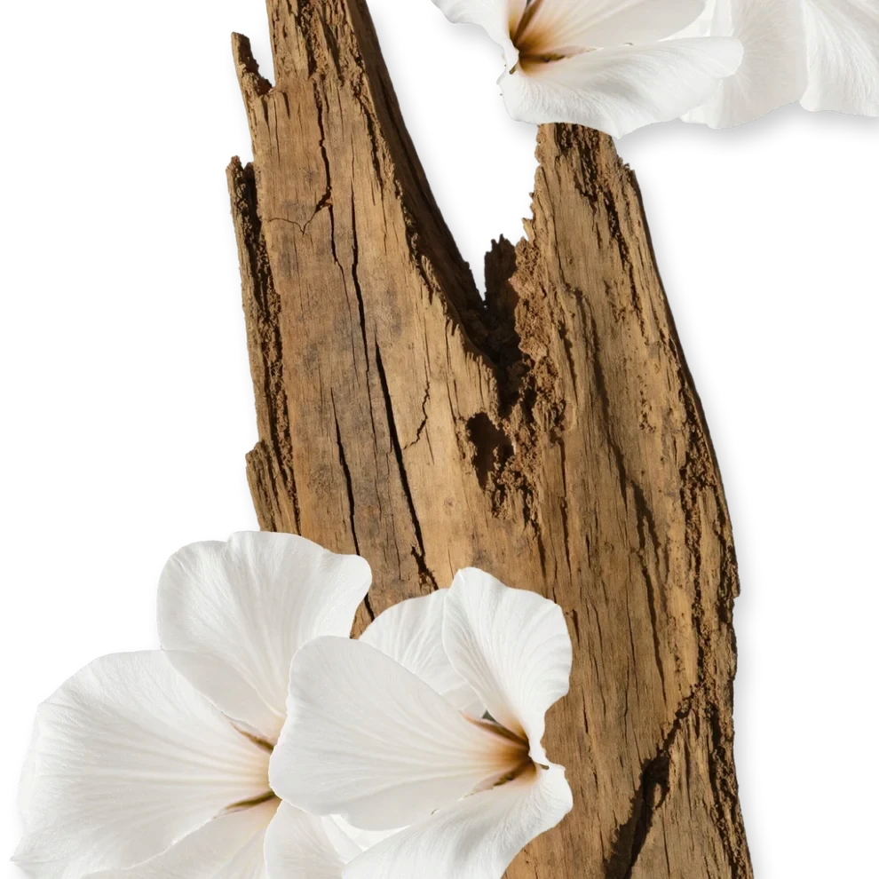 Shop Rescue Spa Valaya body cream featuring white floral accents against a rustic wood background