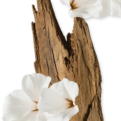Shop Rescue Spa Valaya body cream featuring white floral accents against a rustic wood background