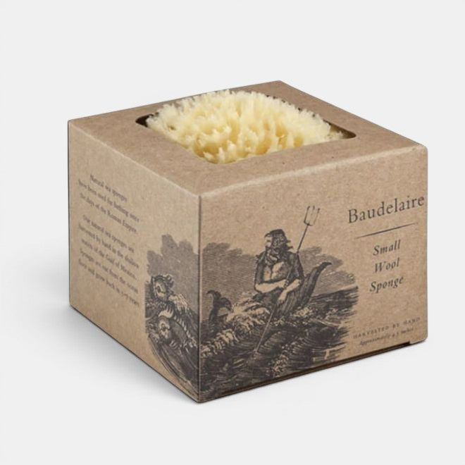 Small Wool Sponge Boxed