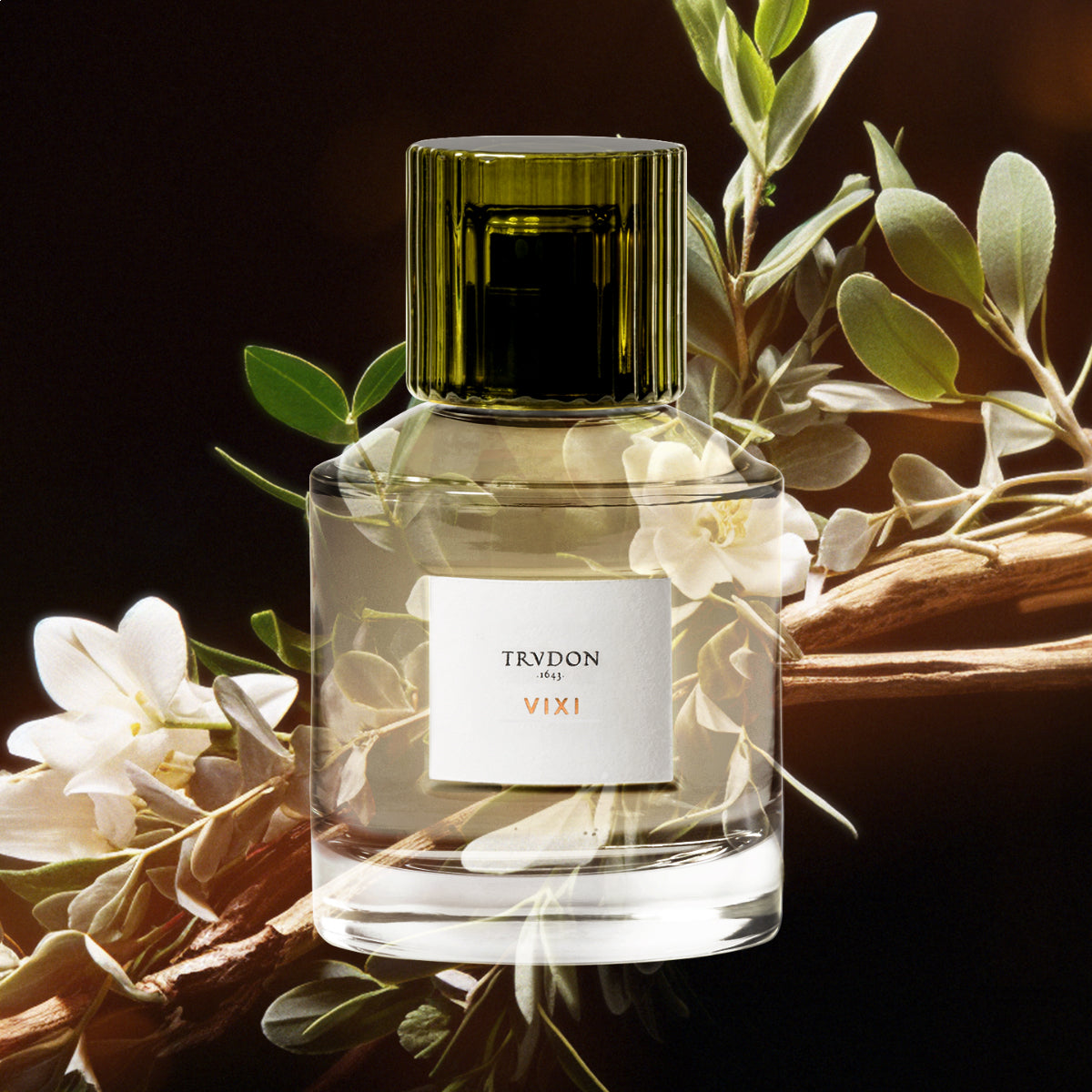 Vixi Eau De Parfum 100ml