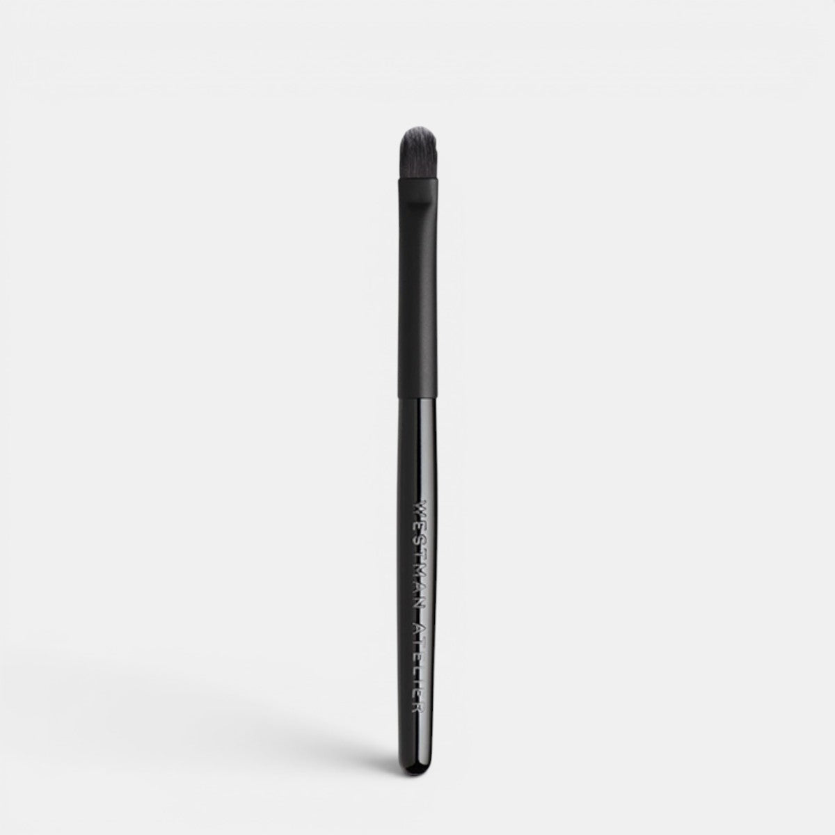 Lip Brush