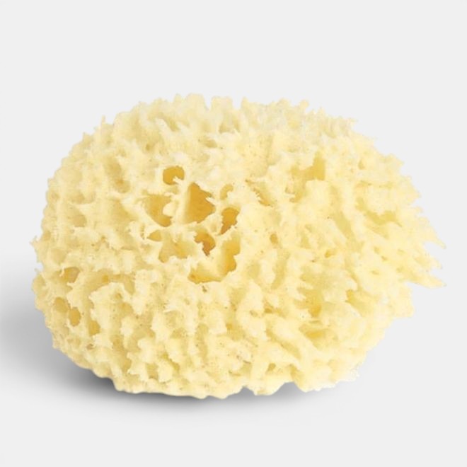 Large Wool Sponge