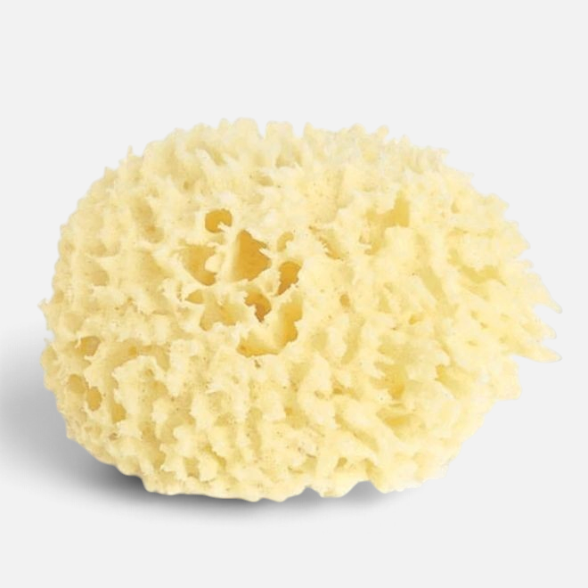 Shop Rescue Spa large natural wool sea sponge for luxurious bathing and gentle skin exfoliation