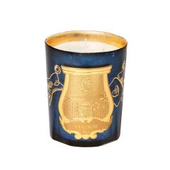 Fir Intermezzo Candle - Noel 2022